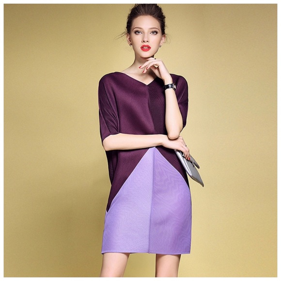 🛍 Purple Color Block Accordion Pleated Dress - Picture 2 of 6